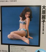 週刊プレイボーイ　36年の歴史　日本芸能界　女優　アイドル　貴重な写真の数々　大原麗子　　　　優香　加藤あい　他　雑誌の切り抜き_画像2