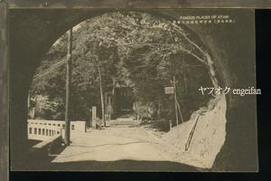 ♪絵葉書23583┃熱海名所 来宮神社┃静岡県┃