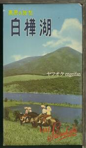 ♪絵葉書19701c┃白樺湖7枚ケース付┃パノラマ 変形 長野県 カラー┃