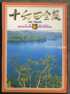 ♪絵葉書20480b┃十和田全集22枚揃ケース付┃十和田湖 奥入瀬渓流 青森県 カラー┃