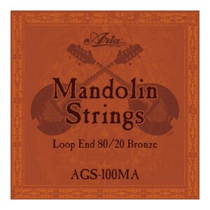  mandolin string Aria ARIA AGS-100MA Mandolin mandolin string 