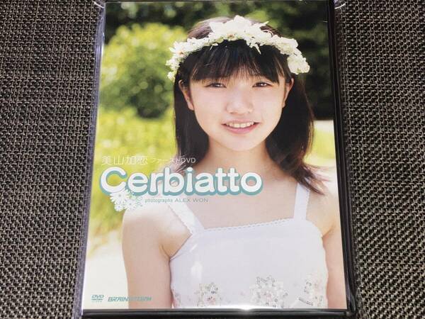 送料込み 美山 加恋 / Cerbiatto 即決