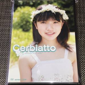 送料込み 美山 加恋 / Cerbiatto 即決