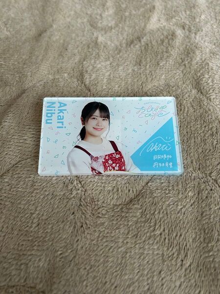 日向坂46 丹生明里 おひさまカフェ ネームプレート