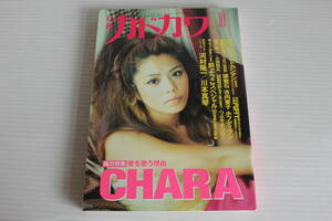 月刊カドカワ 1997年10月　総力特集 CHARA　絶版　希少　レア