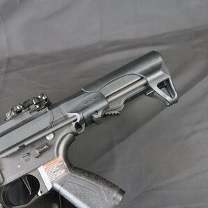 G&G ARMAMENT CM16 Raider L 2.0E 電動ガン #11125の画像6