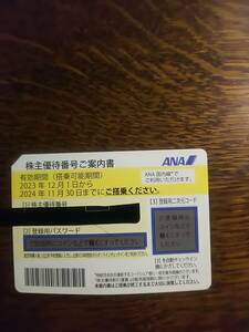 ANA株主優待券1枚　有効期限2024年11月末