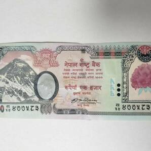 A 2296.ネパール1枚 紙幣World Paper Money の画像2