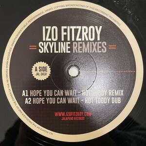 【12inch レコード】Izo Fitzroy 「Skyline (Remixes)」Jalapeno Records JAL241V / Hot Toddy REMIX