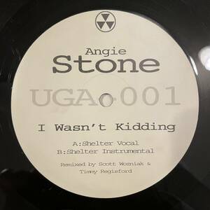 【12inchレコード】Angie Stone 「I Wasn't Kidding (Shelter Mixes)」 Remix Scott Wozniak, Timmy Regisford/Underground Access UGA-001