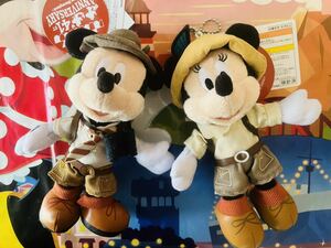 ディズニーランド　41周年　☆　ミッキー　ミニー　ぬいぐるみバッジ　☆