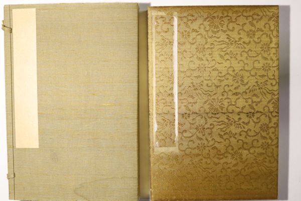 Traitement Hakucho Tenkin avec 1 cahier | Calligraphie, peinture, Livre de dessin, bande de papier, papier japonais, calligraphie, peinture, vieille calligraphie, papier coloré, écriture, écriture, Classiques chinois, la littérature chinoise, Livres anciens chinois, Livres japonais, livres classiques m76, ouvrages d'art, livre, autres