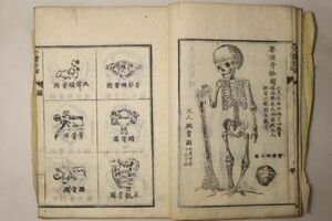 「全体新論 上巻」合信 陳修堂 安政4年 1冊｜医書 医学書 絵入り 木版画 解剖学 生理学 骨 脳 神経 漢籍 漢文 中国 古書 和本 古典籍 n89