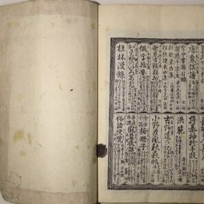 「東江先生草書千字文 下巻」沢田東江 萬屋太治右衛門 1冊｜拓本 書道 漢籍 漢文 中国 江戸時代 古書 和本 古典籍 n57の画像10