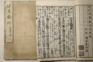 「古文余師 後集(古文後集余師)」増田春耕序 文化5年序 上下巻2冊揃｜古文真宝 漢籍 漢文 中国 江戸時代 古書 和本 古典籍 n54