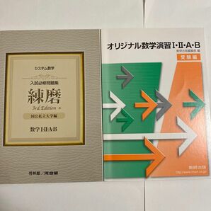 入試必修問題集 練磨 オリジナル数学演習 I II A B 大学受験 高校生