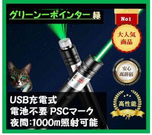 【桜 割】USB充電式　星空レーザーポインター　グリーン緑色　強力光線　未使用　高評価　カラス撃退　現場作業指示