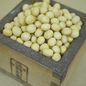 【おたまや】令和５年産 味噌用大豆 里のほほえみ（3kg）の画像3