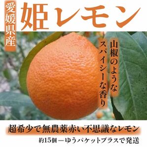 愛媛県産　特別栽培　希少な姫レモン（ユーパケットプラス