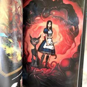 洋書 The Art of Alice: Madness Returns アートオブアリスマッドネスリターンズ ルイスキャロル『不思議の国のアリス』が変貌した画集の画像3