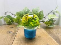 水中花シフトノブ　ミニ電球型　緑のビオラ_画像2