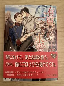 佐竹 笙●有翼の騎士の一途な求愛●ルビー文庫