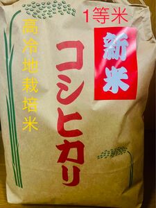 新米　1等米　コシヒカリ　20キロ　島根県　農家直送　送料無料　米　こしひかり　20kg 新米 コシヒカリ