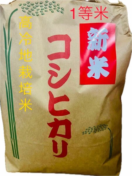新米　1等米　コシヒカリ　20キロ　島根県　農家直送　送料無料　米　こしひかり　20kg