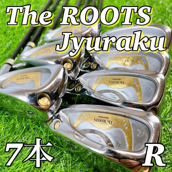 【地クラブ】The ROOTS ROOTS GOLF Jyuraku ザ ルーツ　ルーツゴルフ　じゅらく アイアン　シニア