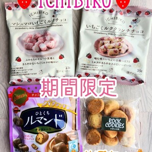 【限定品】ICHIBIKO(いちびこ)監修 お菓子セット マシュマロ チョコ クッキー かぼちゃ 菓子 詰め合わせの画像1