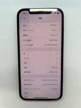 SIMフリー iPhone 12 256GB ブラック NGJ03J/A A2402 アップルストアモデル 難有 アクティベーションロックなし_画像2