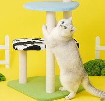 キャットタワー キャットツリー キャットハウス 木製 据え置き 多頭飼い かわいい 爪とぎ 高品質 猫 小型猫 中型猫 大型猫 ペット用品_画像3