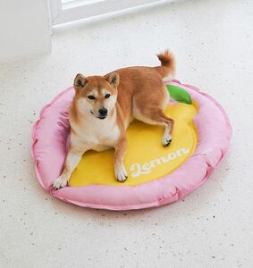 ベッドペット ペットハウス マット クッション ドッグベット クール 冷感 夏 かわいい 可愛い 犬 猫 小型犬 中型犬 大型犬 弾力性 高品質