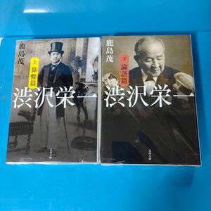 【２冊セット】渋沢栄一　上 、下（文春文庫　か１５－８） 鹿島茂／著