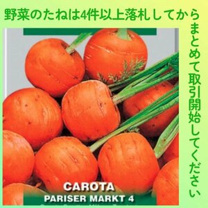 4件以上落札◆ニンジン種◆丸キャロット 約200粒◆固定種 かわいい玉人参