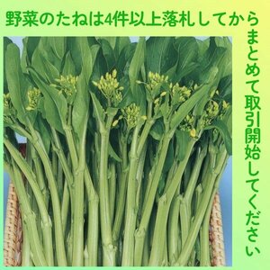 4件以上落札◆ナバナ種◆アスパラ菜/オータムポエム 約200粒◆菜の花のような苦み少なくほのかな甘み ツケナ 花菜 つみ菜 摘み菜