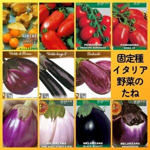 匿名配送無料◆固定種イタリア野菜種11◆食用ホオズキイタリアントマトナスサンマルツァーノボルゲーゼフィレンツェブラックビューティー他