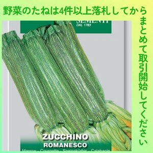 4件以上落札◆ズッキーニ種◆ズッキーニ・ロマネスコ 3粒◆固定種 ROMANESCO イタリア