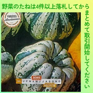 4件以上落札◆カボチャ種◆スイートダンプリング南瓜3粒◆固定種 ミニかぼちゃ 鑑賞用にも