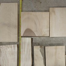 栃　トチ　ブロック端材詰め合わせ　木材　銘木　彫刻　旋盤、ろくろ練習などに　20kg以上　⑪_画像5