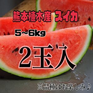 ☆初物☆熊本 植木産 スイカ 2玉入 (1玉約5～6kg)