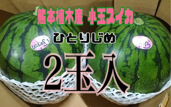 ☆初物☆熊本植木産 小玉スイカ ひとりじめ (2玉入)