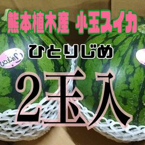 ☆初物☆熊本植木産 小玉スイカ ひとりじめ (2玉入)