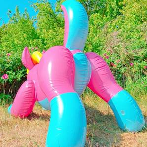 ★Horseplay社製 ピンクハスキー 空気ビニール風船 空ビ フロート 浮き輪 Inflatable Pink husky Pool toys Balloon POPの画像4