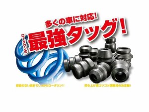 [エスペリア]ASE30 レクサスIS300_Version L(H29/11～R2/10)用スーパーダウンサス＆バンプラバー[車検対応]