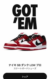 Nike SB Dunk Low Pro "J-Pack Chicago/Varsity Red and White"