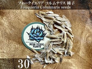 フォークイエリア コルムナリス 種子 30粒+α Fouquieria Columnaris 30 seeds+α 観峰玉 種