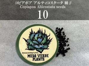 コピアポア アルティコスタータ 種子 10粒+α Copiapoa Alticostata 10 seeds+α 種 サボテン coquimbana