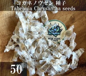 コガネノウゼン 種子 50粒+α Tabebuia Chrysantha 50 seeds+α 種 Yellow Trumpet Tree キバナノウゼン イペー