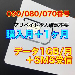 プリペイドSIMカード　データ通信1GB/月　SMS受信　090/080/070